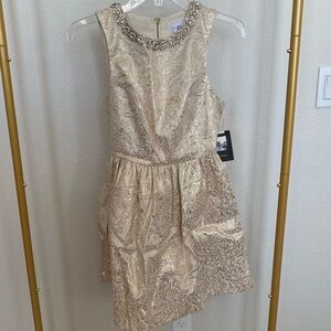 Urban Outfitters 2013 Gold Holiday Dress with Back Cut Outs